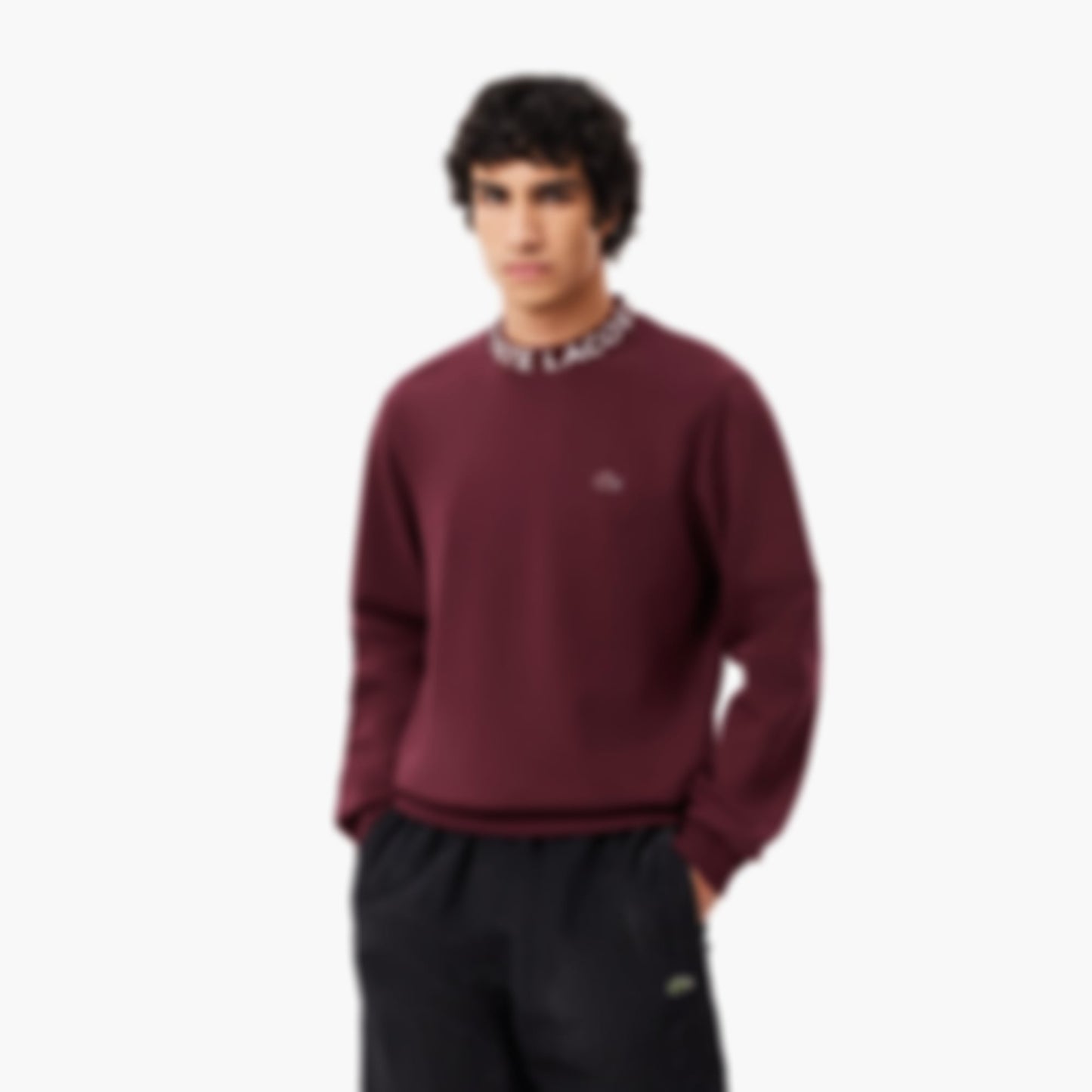 Men's Logo Crew Neck Sweatshirt - Bordeaux dark