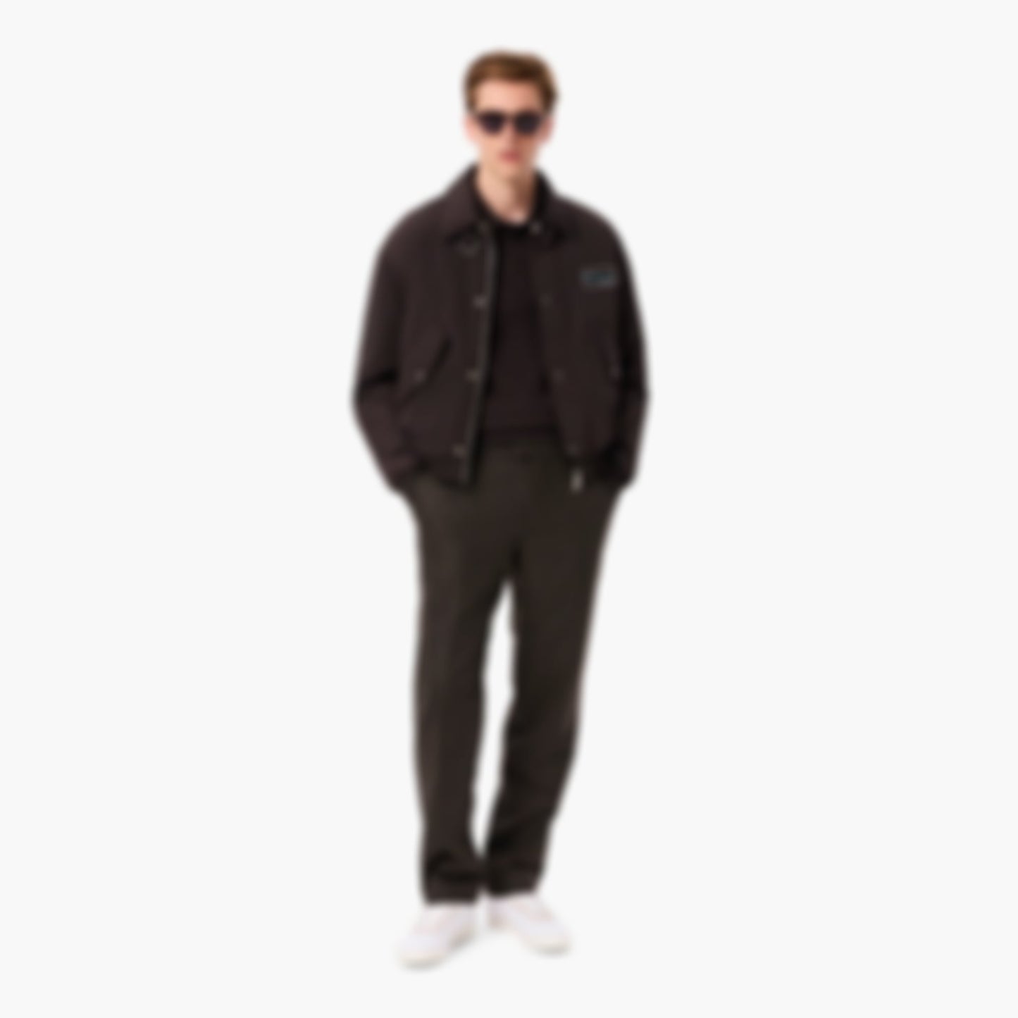Men's Straight Fit Chevron Wool Pants - Brown