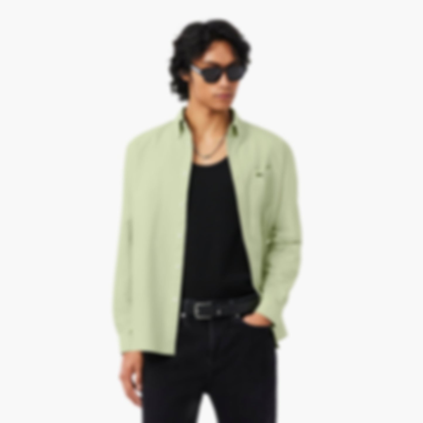 Men's Regular Fit Oxford Shirt - Vert