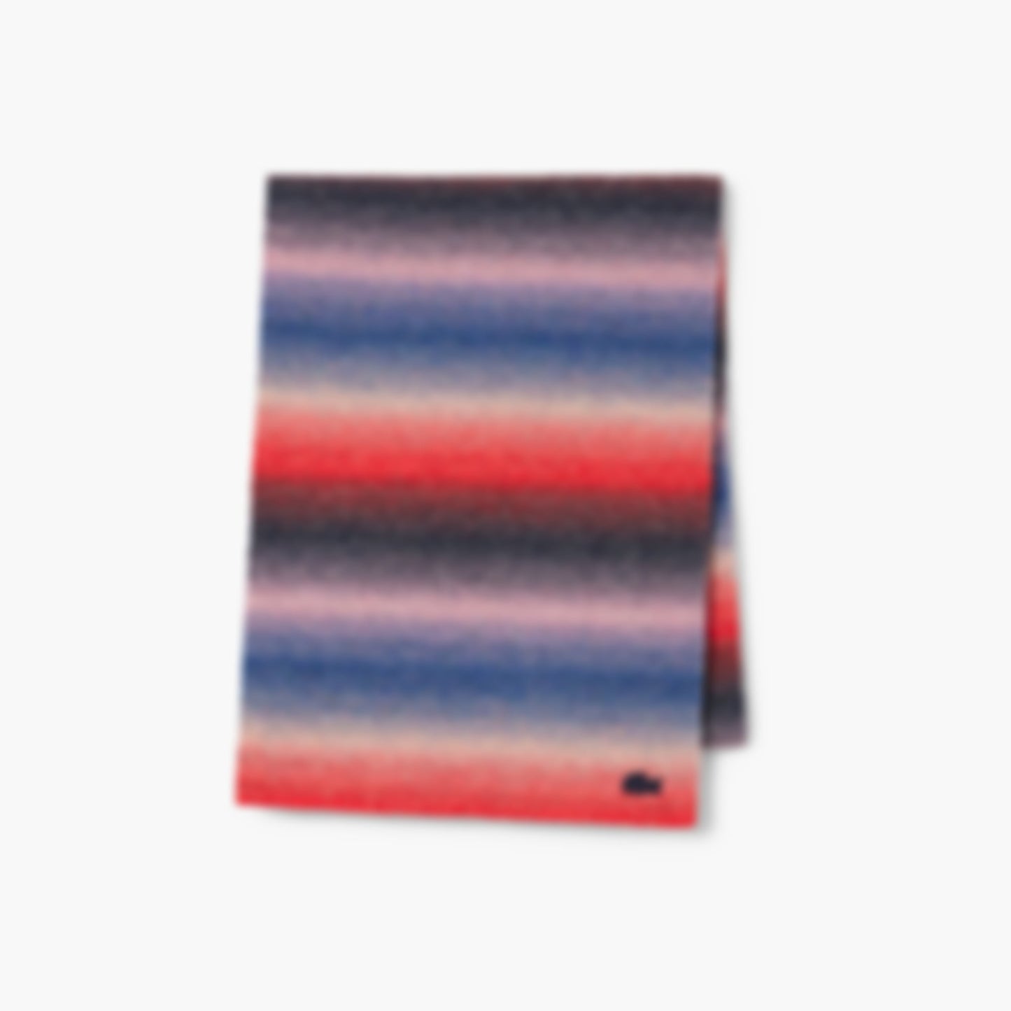 Women's Wool Blend Ombré Scarf - White