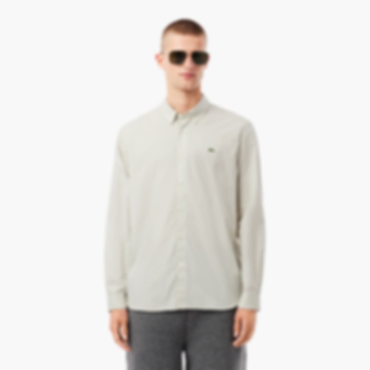 Men's Regular Fit Striped Button Down Shirt - White / Green