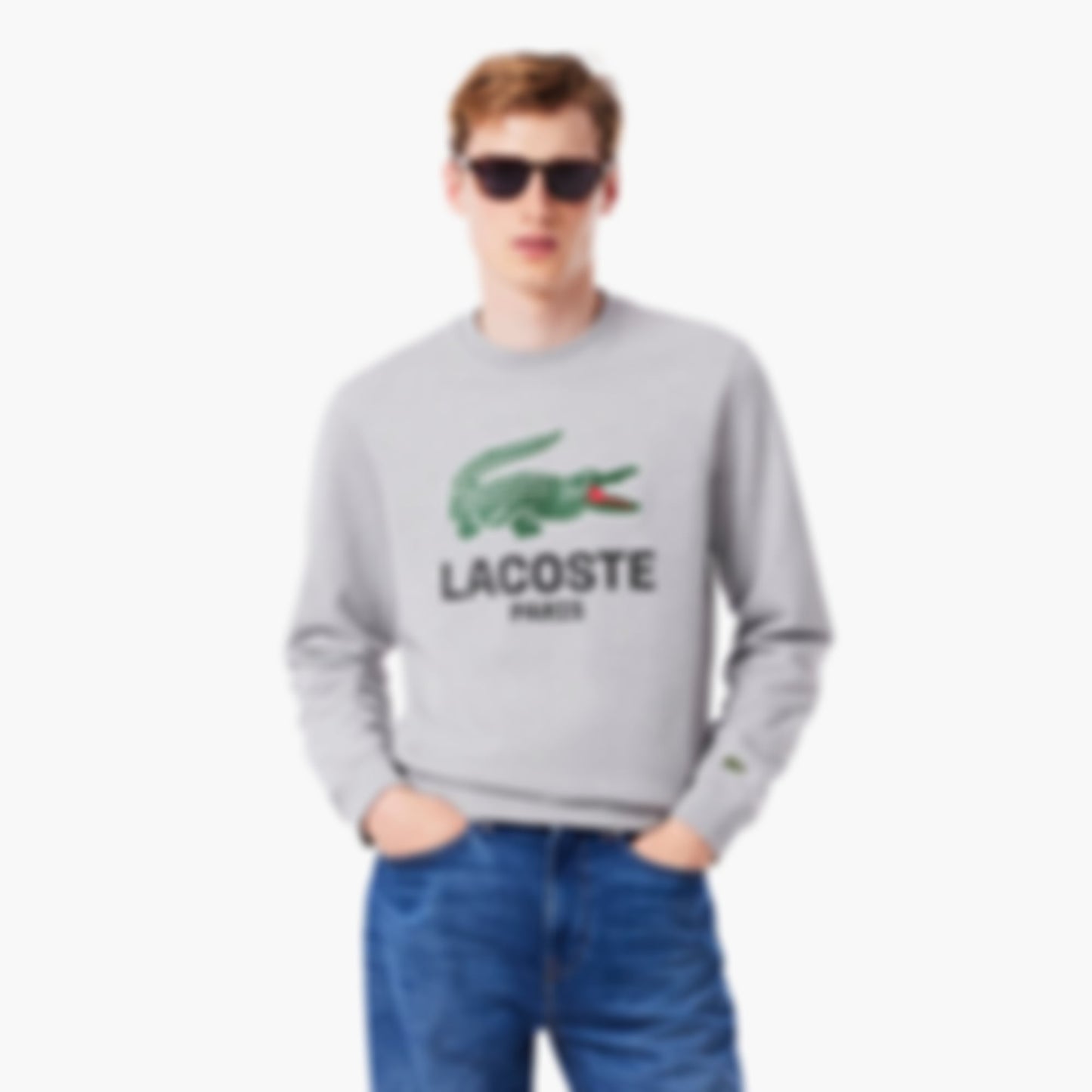 Men's Classic Fit Printed Crew Neck Sweatshirt - Grey Chine