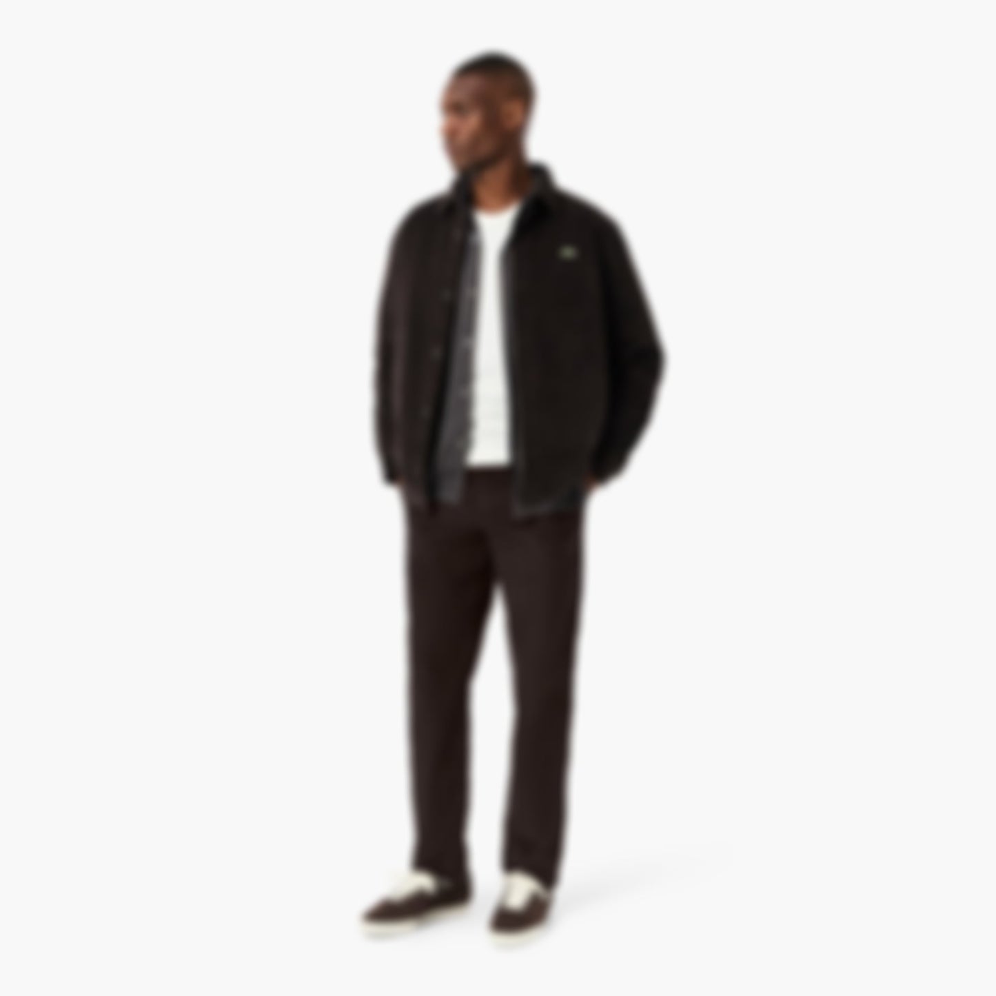 Men's Regular Fit Corduroy Chino Pants - Brown