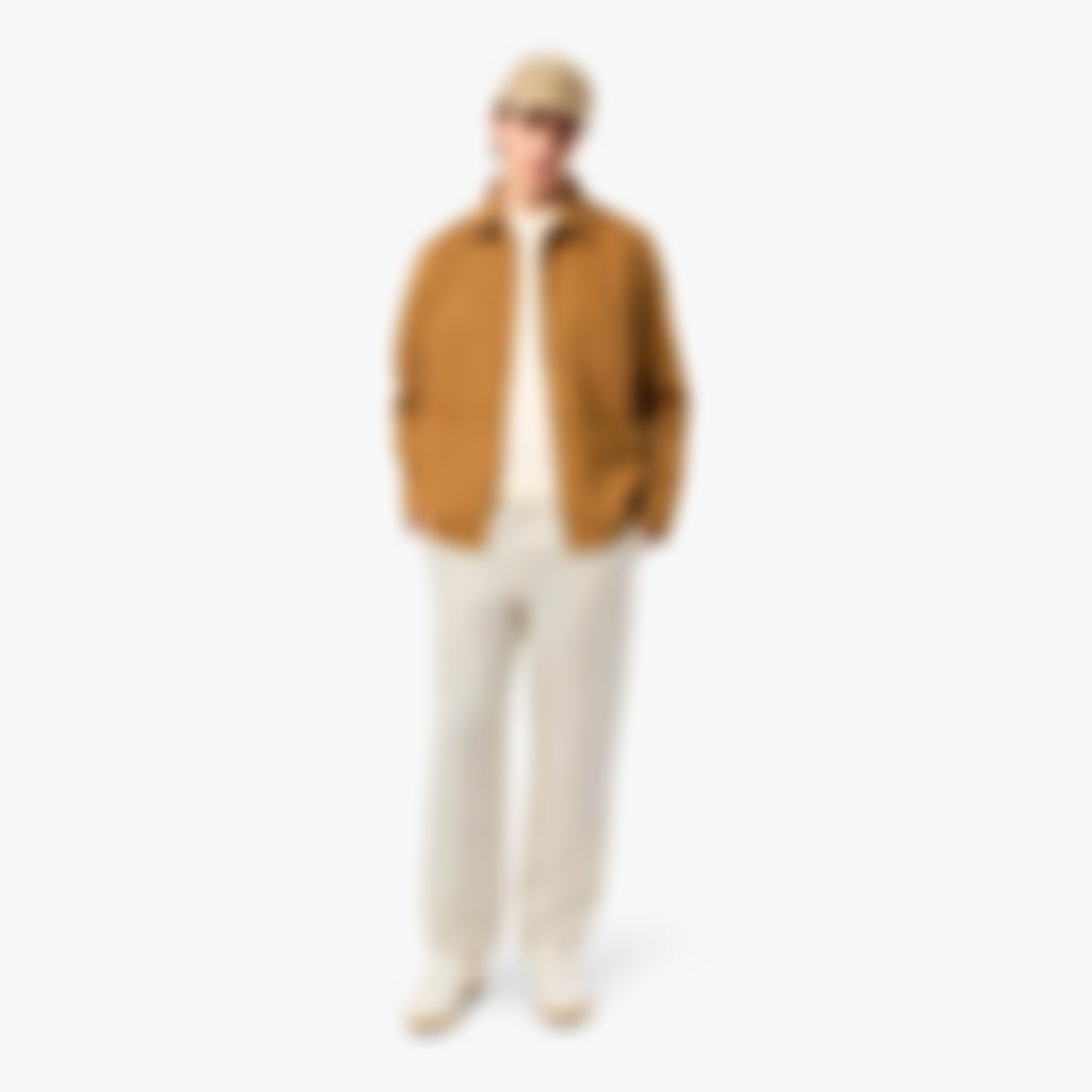 Men's Regular Fit Linen Twill Pants - Beige