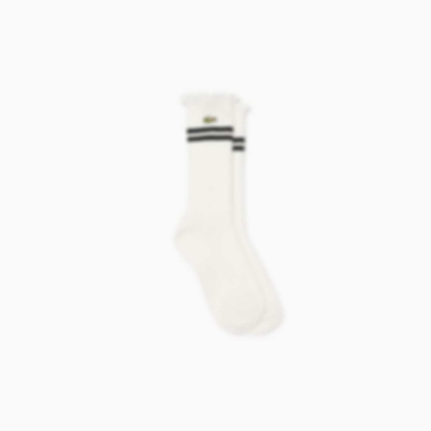 Women's Lace Edge Ribbed Socks - White